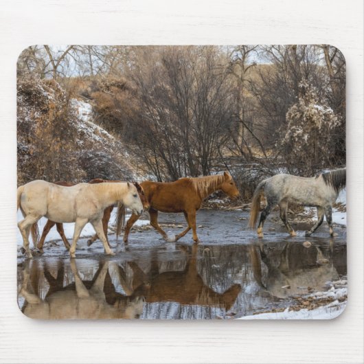 Hideout Horse Ranch Muismat (Voorkant)