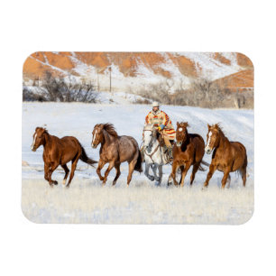 Hideout Horse Ranch, paardenknecht en paarden Magneet