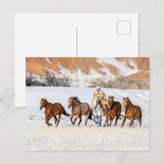 Hideout Horse Ranch, Wrangler en Horses Briefkaart (Voorkant / Achterkant)
