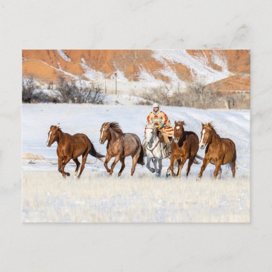 Hideout Horse Ranch, Wrangler en Horses Briefkaart (Voorkant)