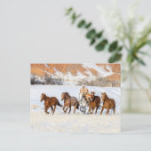 Hideout Horse Ranch, Wrangler en Horses Briefkaart (Staand voorkant)