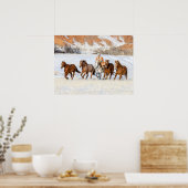 Hideout Horse Ranch, Wrangler en Horses Poster (Keuken)