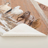 Hideout Ranch met Small Herd Horses in sneeuw Sherpa Deken (3/4)