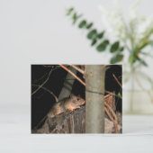 Hiding Briefkaart (Staand voorkant)