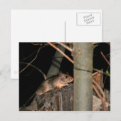 Hiding Briefkaart (Voorkant / Achterkant)