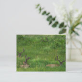 Hiding Deer Briefkaart (Staand voorkant)
