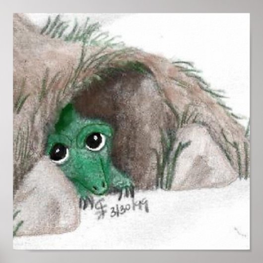 Hiding Dragon Poster (Voorkant)