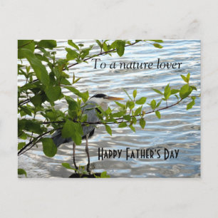 Hiding Heron. Briefkaart