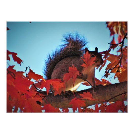 "Hiding in Plain Sight Foto Afdruk (Voorkant)