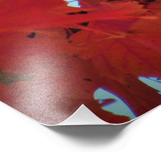 "Hiding in Plain Sight Foto Afdruk (Hoek)