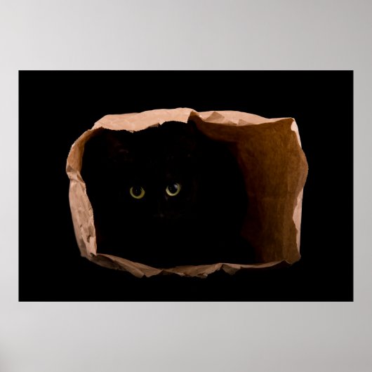 Hiding in Shadows Poster (Voorkant)