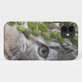 Hiding Kitten EYE-Phone 5 Hoesje (Achterkant (horizontaal))