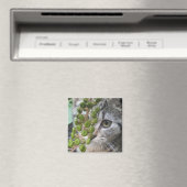 Hiding Kitten Magnet (Insitu (Vaatwasser))
