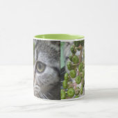 Hiding Kitten Mok (Midden)