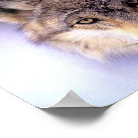 Hiding Poster (Hoek)