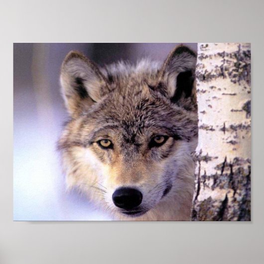 Hiding Poster (Voorkant)