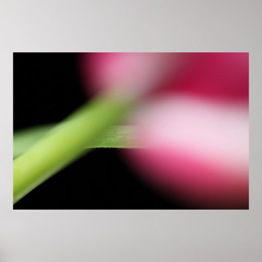 Hiding Poster (Voorkant)