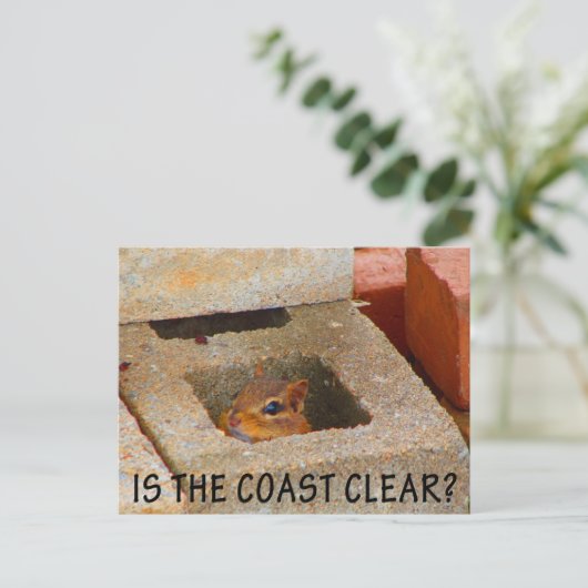 Hiding Squirrel Briefkaart (Staand voorkant)