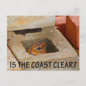 Hiding Squirrel Briefkaart (Voorkant)