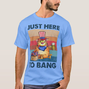 Hier alleen maar om een grappige kat met Amerikaan T-shirt