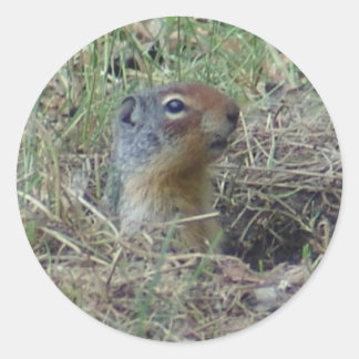 Hier ben ik ronde sticker