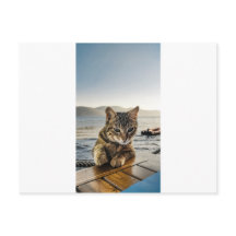 "Hier ben ik" zegt de kat