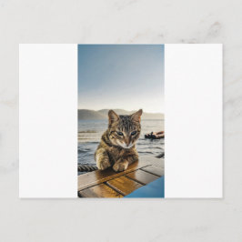 "Hier ben ik" zegt de kat Briefkaart