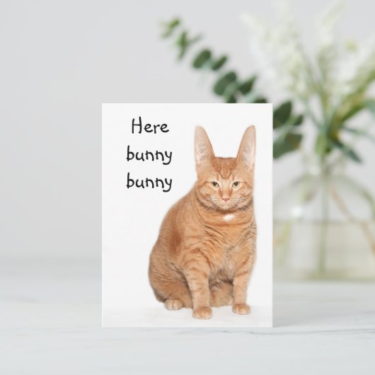 Hier bunny briefkaart (Staand voorkant)