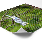 Hier hangen poster (Hoek)