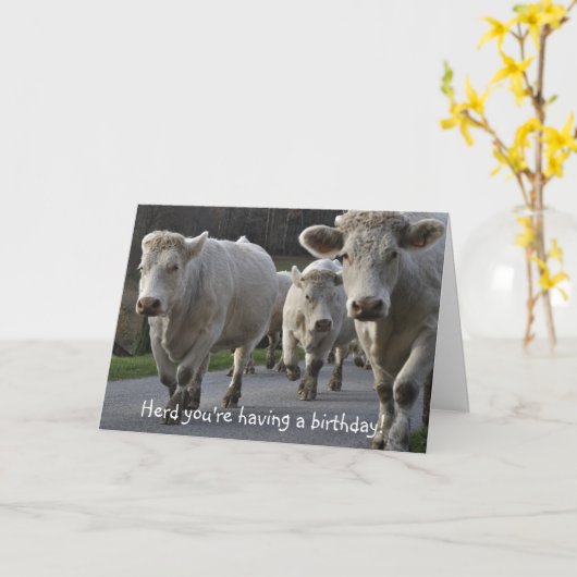 Hier heb je een verjaardag! kaart (Gele Bloem)