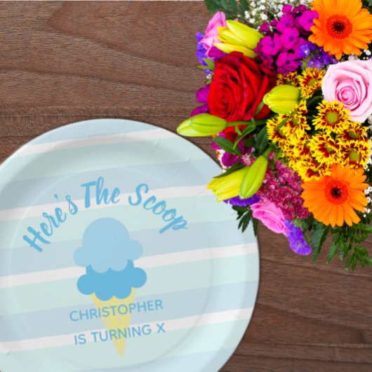 Hier is de Scoop Ice Cream Summer Boy Birthday Papieren Bordje