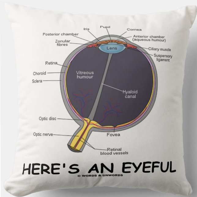 Hier is een Humor met een ooganatomie. Kussen (Throw pillow featuring human eye anatomy along with the caption "Here's An Eyeful")