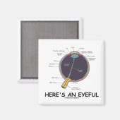 Hier is een Humor met een ooganatomie. Magneet (Voorkant / Achterkant)