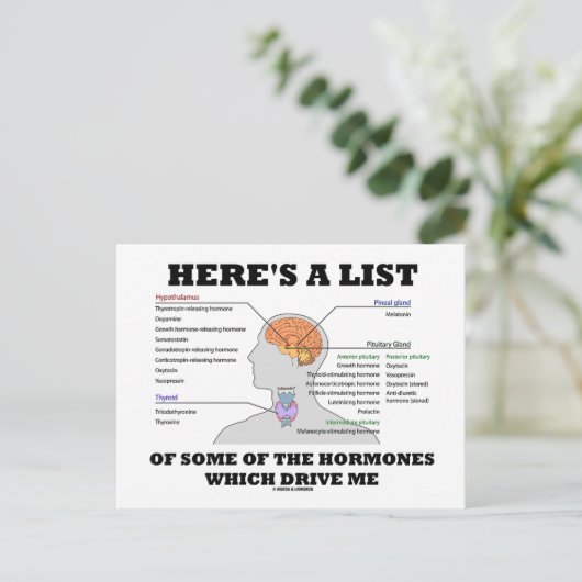 Hier is een lijst van enkele van de hormonen (endo briefkaart (Staand voorkant)