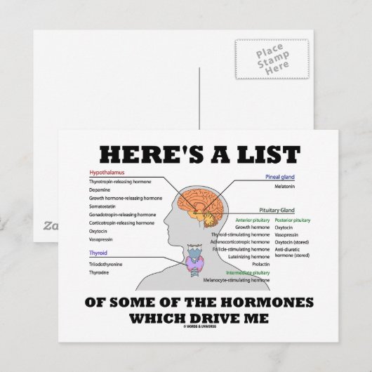 Hier is een lijst van enkele van de hormonen (endo briefkaart (Voorkant / Achterkant)