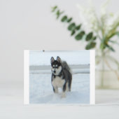 Hier is het probleem briefkaart (Staand voorkant)