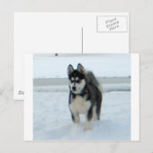 Hier is het probleem briefkaart (Voorkant / Achterkant)