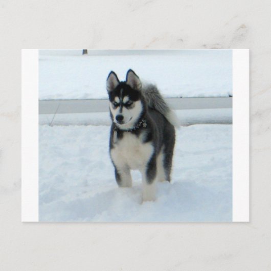 Hier is het probleem briefkaart (Voorkant)