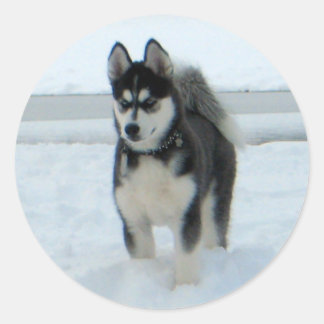 Hier is het probleem ronde sticker