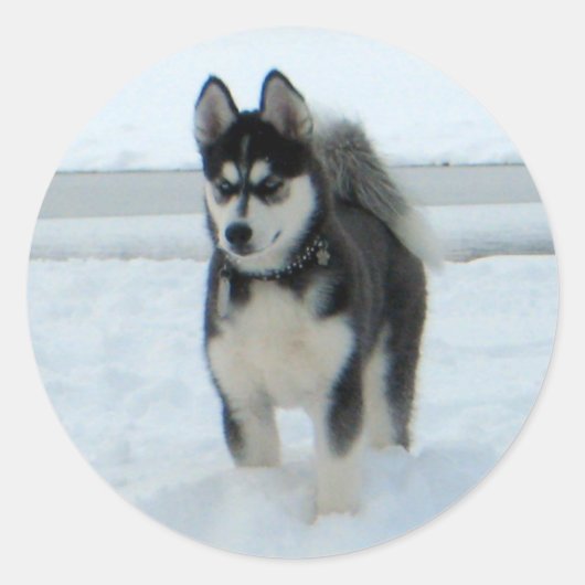 Hier is het probleem ronde sticker (Voorkant)