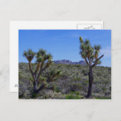 Hier is Johnny... Briefkaart (Voorkant / Achterkant)