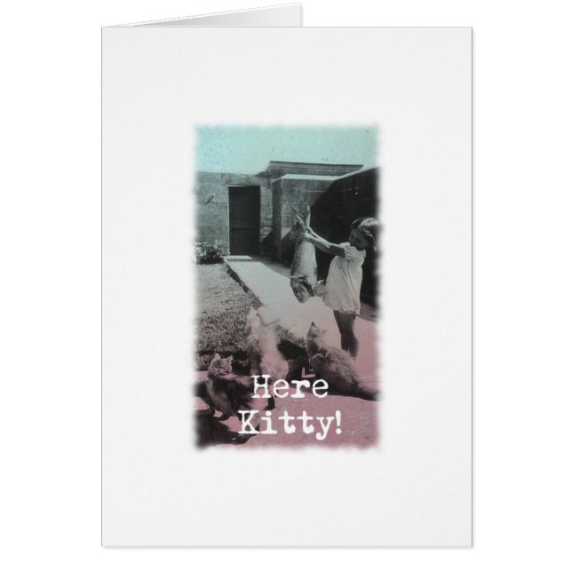 Hier Kat! (Voorkant)