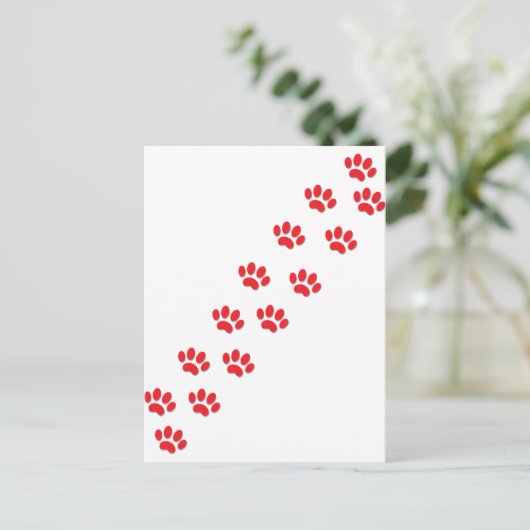 Hier Kitty Cat Paws Briefkaart (Staand voorkant)