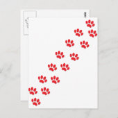 Hier Kitty Cat Paws Briefkaart (Voorkant / Achterkant)