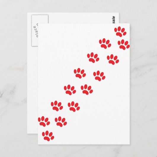 Hier Kitty Cat Paws Briefkaart (Voorkant / Achterkant)