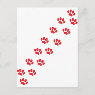 Hier Kitty Cat Paws Briefkaart