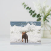 Hier kom ik... briefkaart (Staand voorkant)