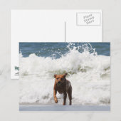 Hier kom ik... briefkaart (Voorkant / Achterkant)