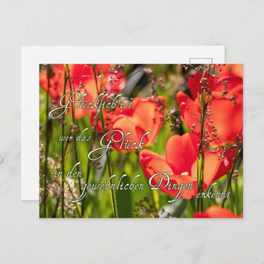 Hier kommt ganz viel Glück für Dich! Briefkaart (Voorkant / Achterkant)