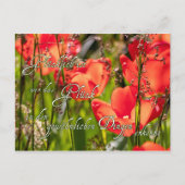 Hier kommt ganz viel Glück für Dich! Briefkaart (Voorkant)